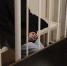 Адвокат Собиной: семьям сгоревших мигрантов выплатили компенсацию - Chelny-Biz.Ru