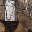 Археологи из Елабуги нашли исчезнувший город Ачи – ведутся раскопки - Chelny-Biz.Ru