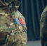 Юридическая помощь и льготы: с чем бойцы СВО обращаются к властям Челнов - Chelny-Biz.Ru